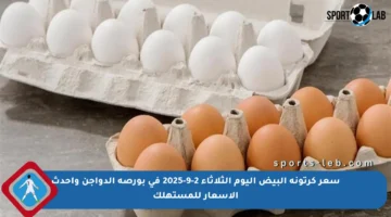 سعر كرتونة البيض اليوم الثلاثاء 2-9-2025 في بورصة الدواجن وأحدث الأسعار للمستهلك